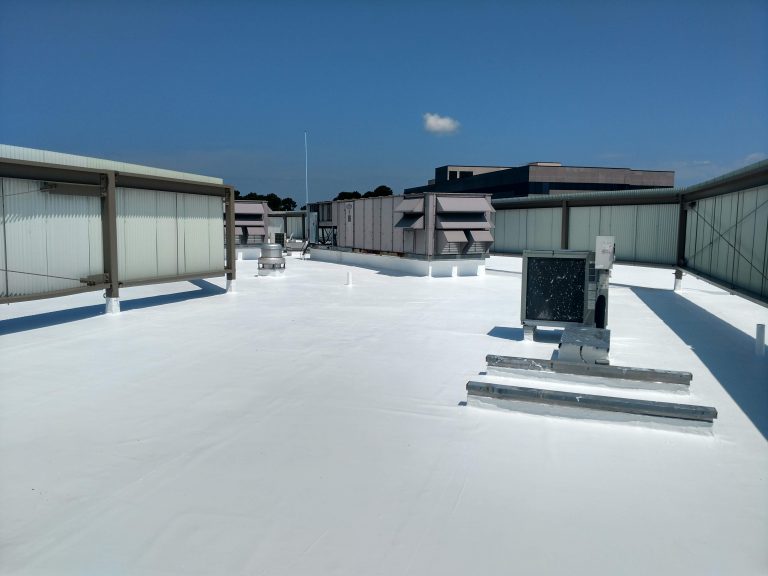 Cleaned Commercial Roof