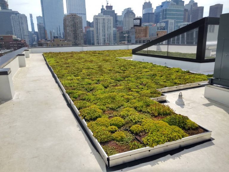 Rooftop Garden Installation